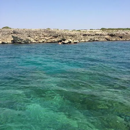 Πανσιόν Bilocale Ambalagi